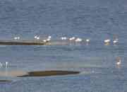 Group Tours to Peru - Trips to Peru - Travel Packages to Peru Group Tours to Peru - Trips to Peru - Travel Packages to Peru