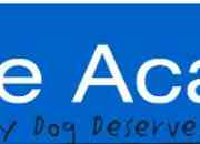 Dog training New Zealand provides you with the best training solutions for you and your d