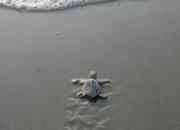 Cheapest Goa Tour Packages 09999105555 Cheapest Goa Tour Packages 09999105555