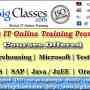 OBIEE online training by very experienced trainer