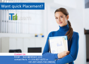 Complete Software Testing Fundamentals Training at ITeLearn