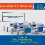 World’s Best Selenium Online Training at ITeLearn