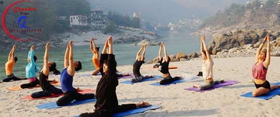 Yoga teacher training rishikesh reviews