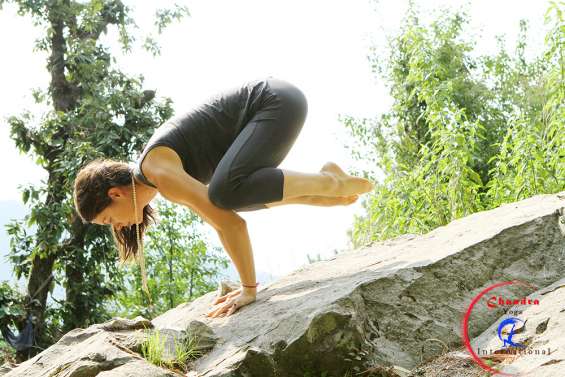 Registered yoga school india