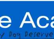 Canine Academy in Auckaland ( New Zealand)