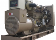 Extreme reliability Diesel Generating Set and Electrical generators from top brand factory