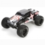 ECX Ruckus 1/10 2WD BL RTR Monster Truck Black White ECX03009
